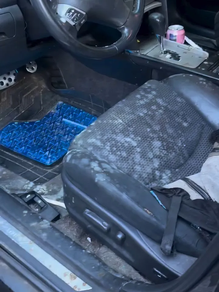 Front seat with mold before cleaning
