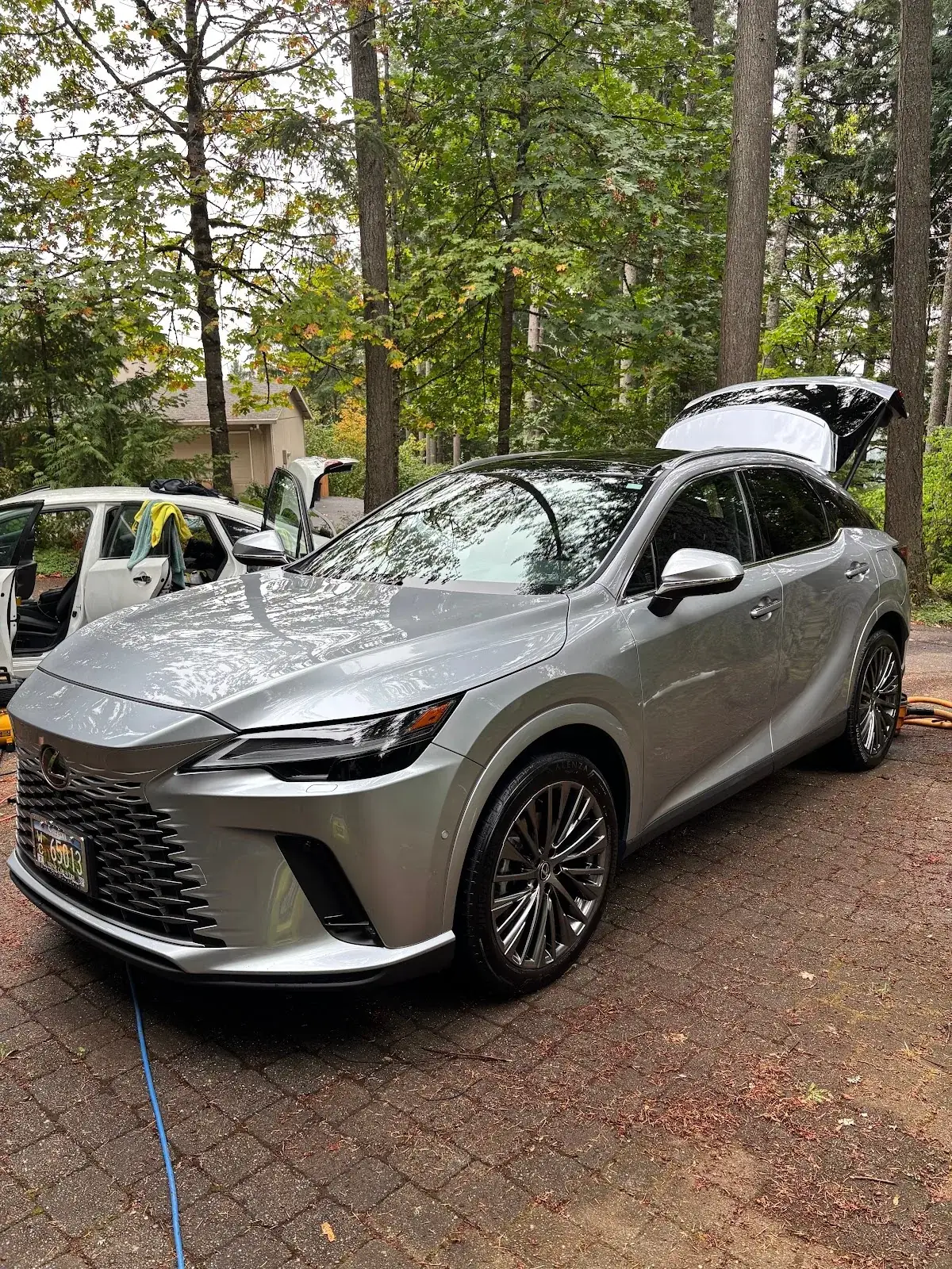 Lexus RX detailed at home