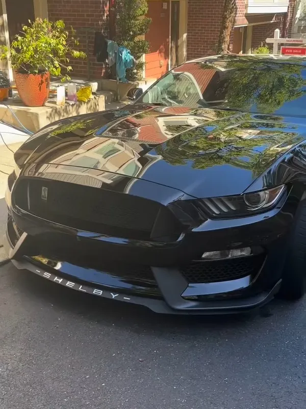 Black Mustang Shelby after detail